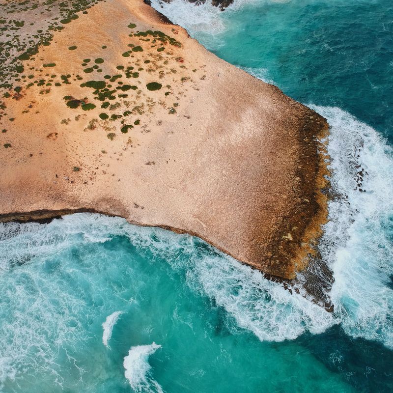 Corporate Administration